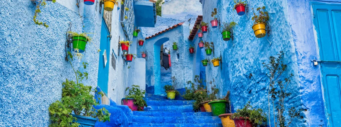A blue stairway with flower pots in Chefchaouen, Morocco